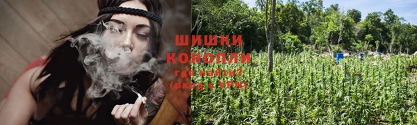 бошки Балахна