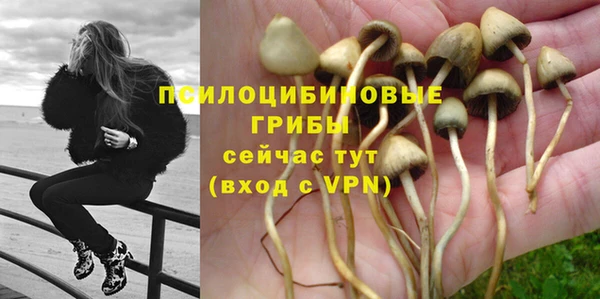 бошки Балахна
