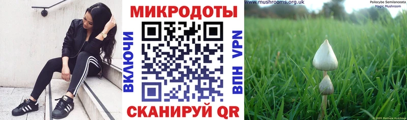 Галлюциногенные грибы ЛСД  Барабинск 